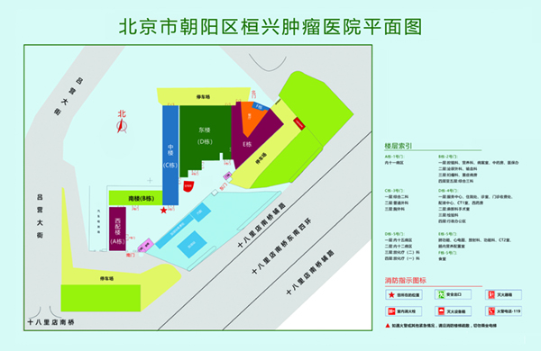 男人插入女人阴部免费看北京市朝阳区桓兴肿瘤医院平面图